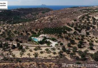 476621-Vorschaubild2