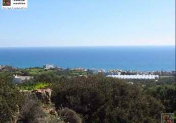 471310-Vorschaubild3