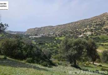 479936-Vorschaubild4