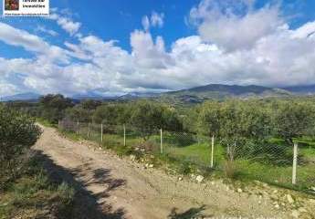 481552-Vorschaubild2