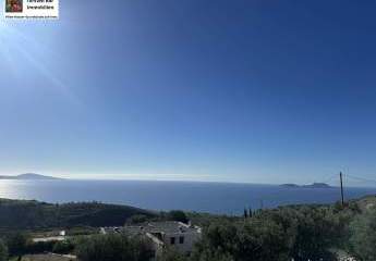 471311-Vorschaubild2