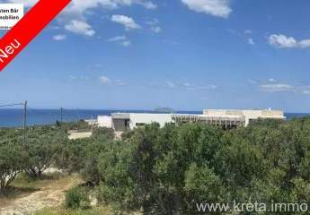 Kreta, Pitsidia Grundstück von 1566 m² zu verkaufen in Pitsidia