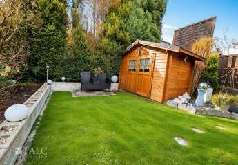 460356-Vorschaubild3