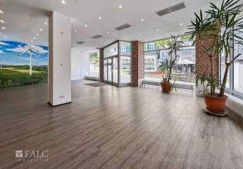 463115-Vorschaubild2