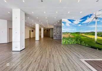 463115-Vorschaubild4