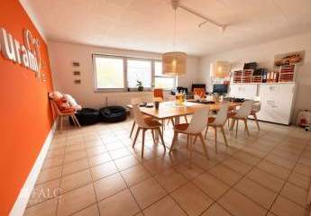 468023-Vorschaubild3