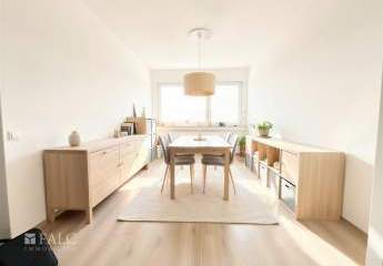 481724-Vorschaubild2