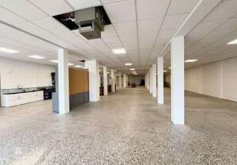 481728-Vorschaubild2