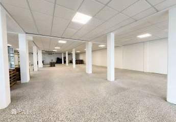 481729-Vorschaubild4