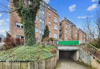 484308-Vorschaubild4