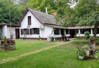 In Ungarn ein tipisches 240 m2 Bauernhaus mit 32000 m2 gepflegtes Grundstück ist zu verkaufen.