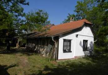 In Ungarn in Rúzsa ein bewohnbares,gepflegtes 90 m2 Bauernhaus mit 5754 m2 Grundstück zu verkaufen