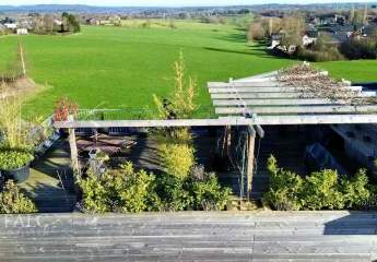 474196-Vorschaubild3