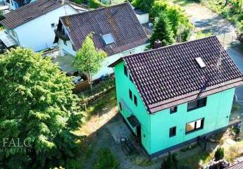495425-Vorschaubild4
