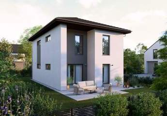 446281-Vorschaubild3