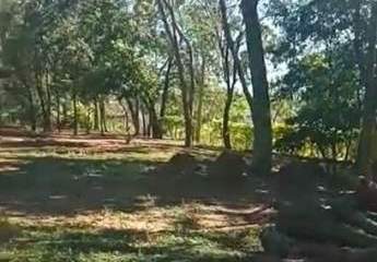 313886-Vorschaubild4