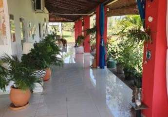 362511-Vorschaubild4