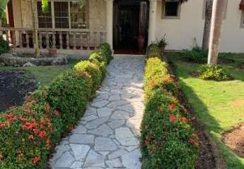 362515-Vorschaubild2