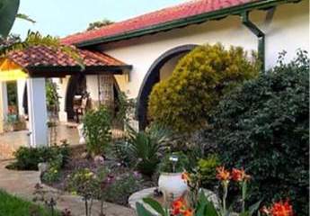 313871-Vorschaubild3