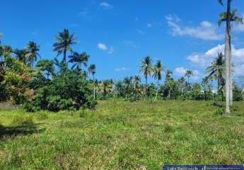 415555-Vorschaubild3