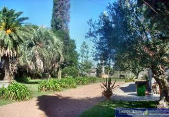 313828-Vorschaubild2