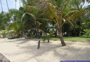 313865-Vorschaubild3