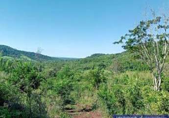 449368-Vorschaubild3