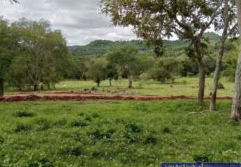 449368-Vorschaubild4