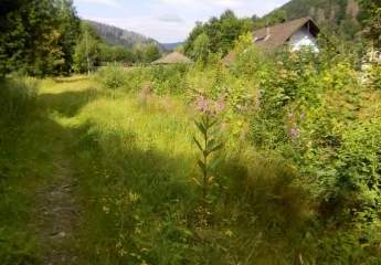 Bad Lauterberg, Grundstück