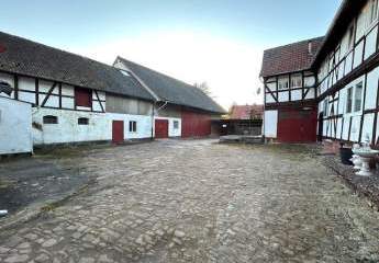 410339-Vorschaubild4