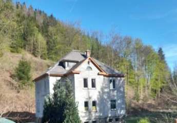 418932-Vorschaubild3