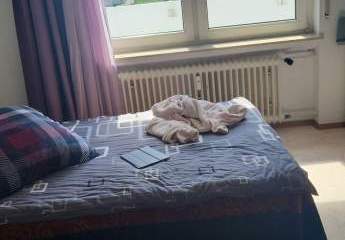 422961-Vorschaubild4