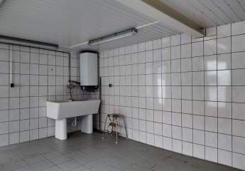 444130-Vorschaubild4