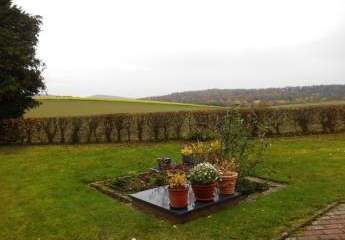 473457-Vorschaubild2