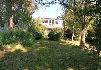 474436-Vorschaubild4