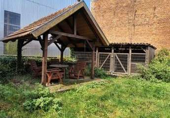 426322-Vorschaubild3