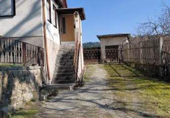 475777-Vorschaubild3