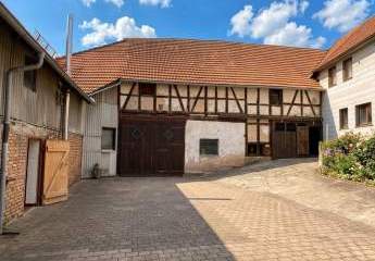 479411-Vorschaubild3