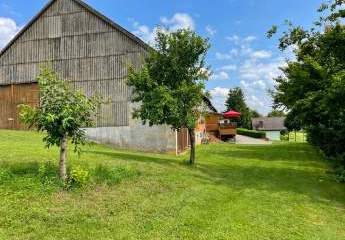 479411-Vorschaubild4