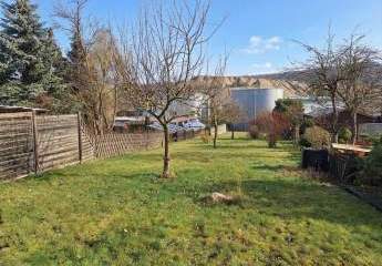 481682-Vorschaubild3