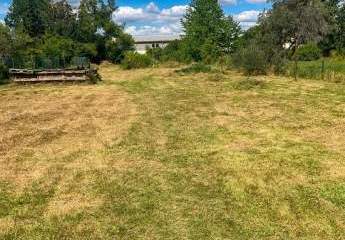 482819-Vorschaubild3