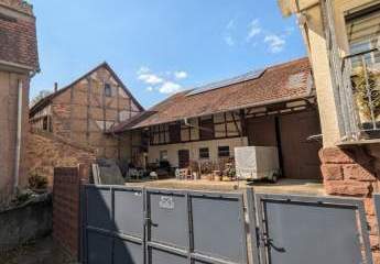 483734-Vorschaubild3