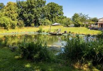 483734-Vorschaubild4