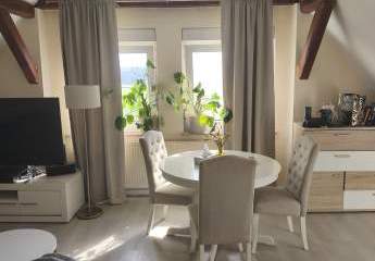 484566-Vorschaubild3