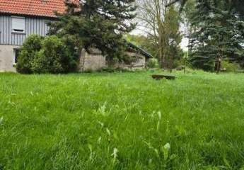 489704-Vorschaubild3