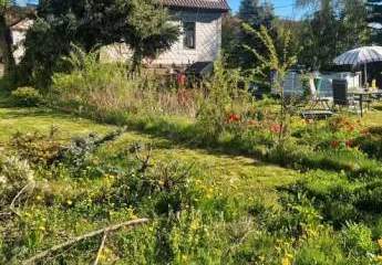 491045-Vorschaubild2