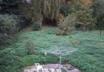 493013-Vorschaubild3