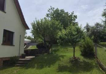 493203-Vorschaubild3