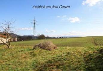 495177-Vorschaubild4