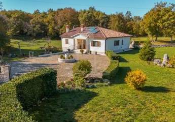 453138-Vorschaubild2